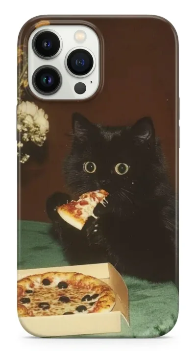 iPhone 14 Pro Kılıf - Pizza Yiyen Siyah Yavru Kedi featured